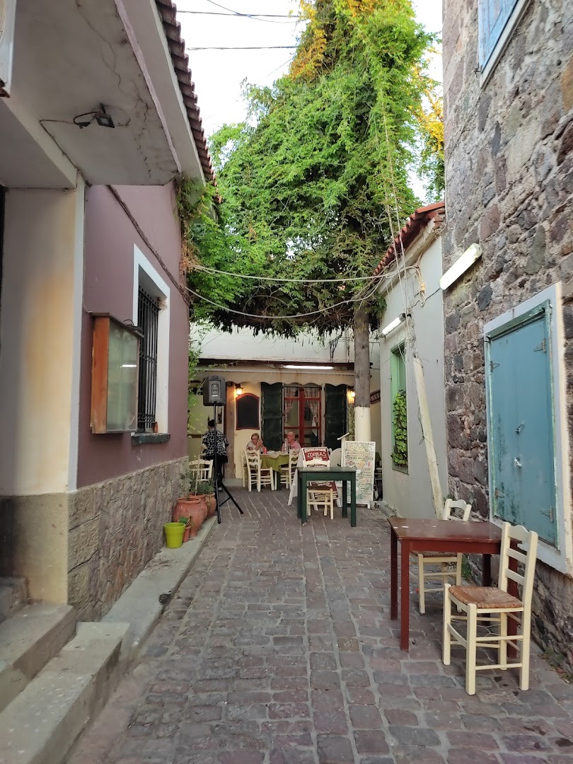 Gallery image 21
