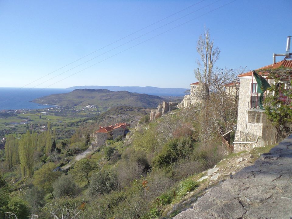 Gallery image 3