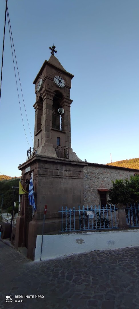 Gallery image 12