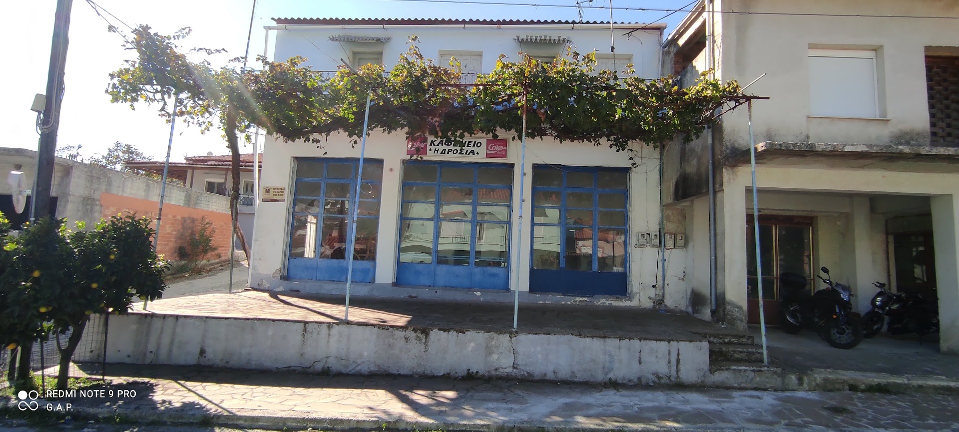 Gallery image 4
