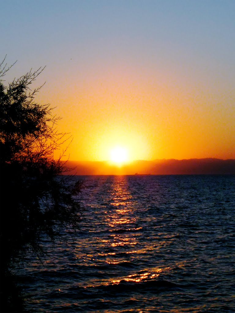 Gallery image 12