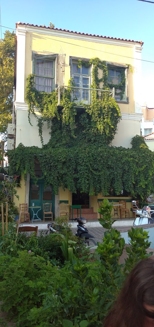 Gallery image 6