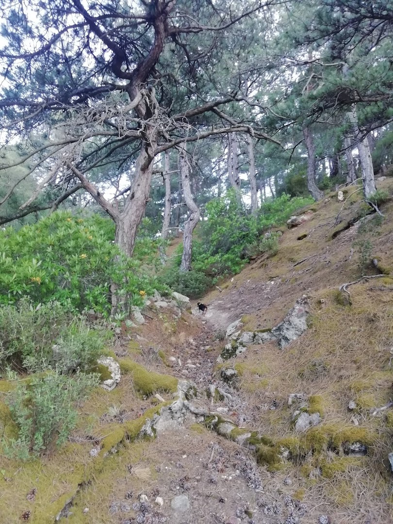 Gallery image 10