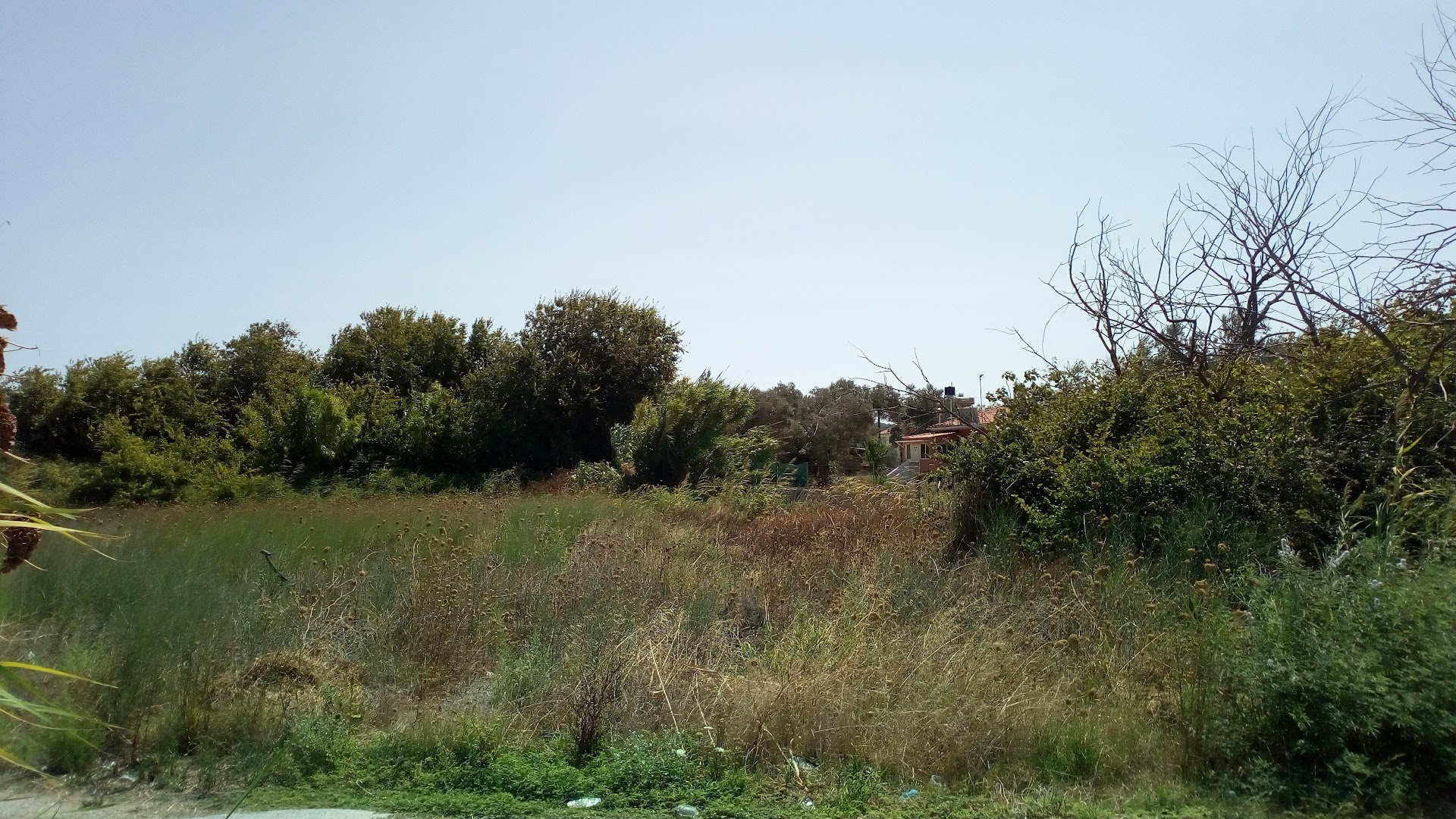 Gallery image 12