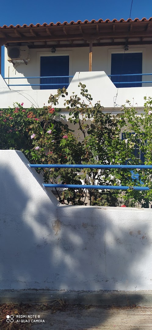 Gallery image 15