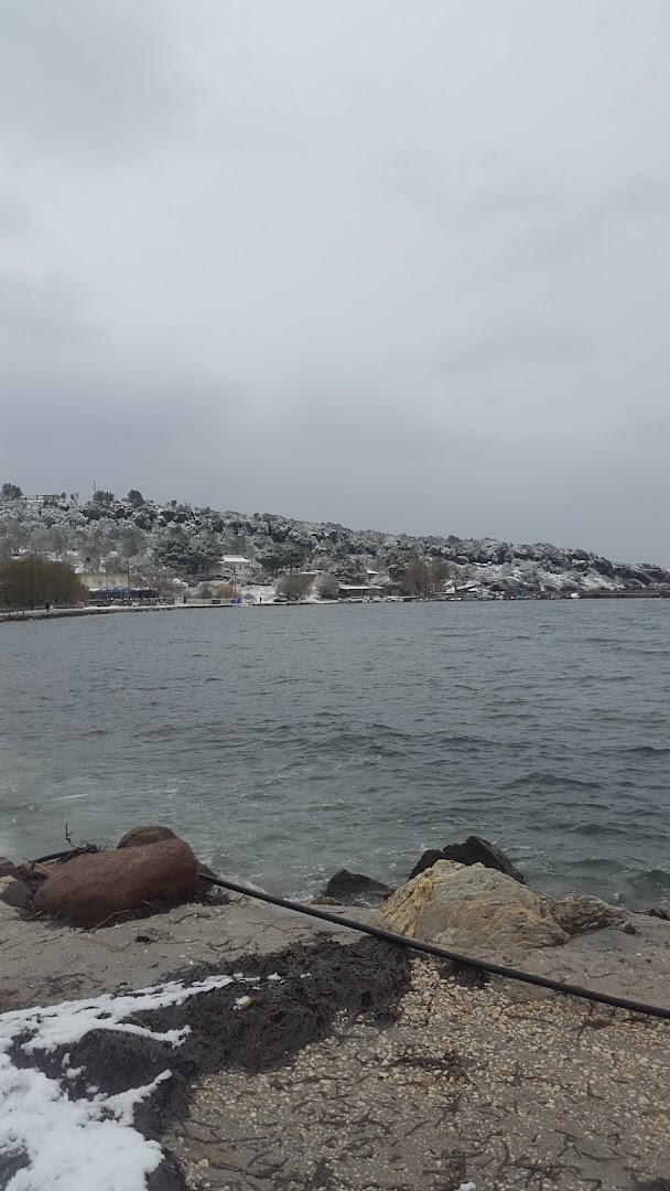 Gallery image 11