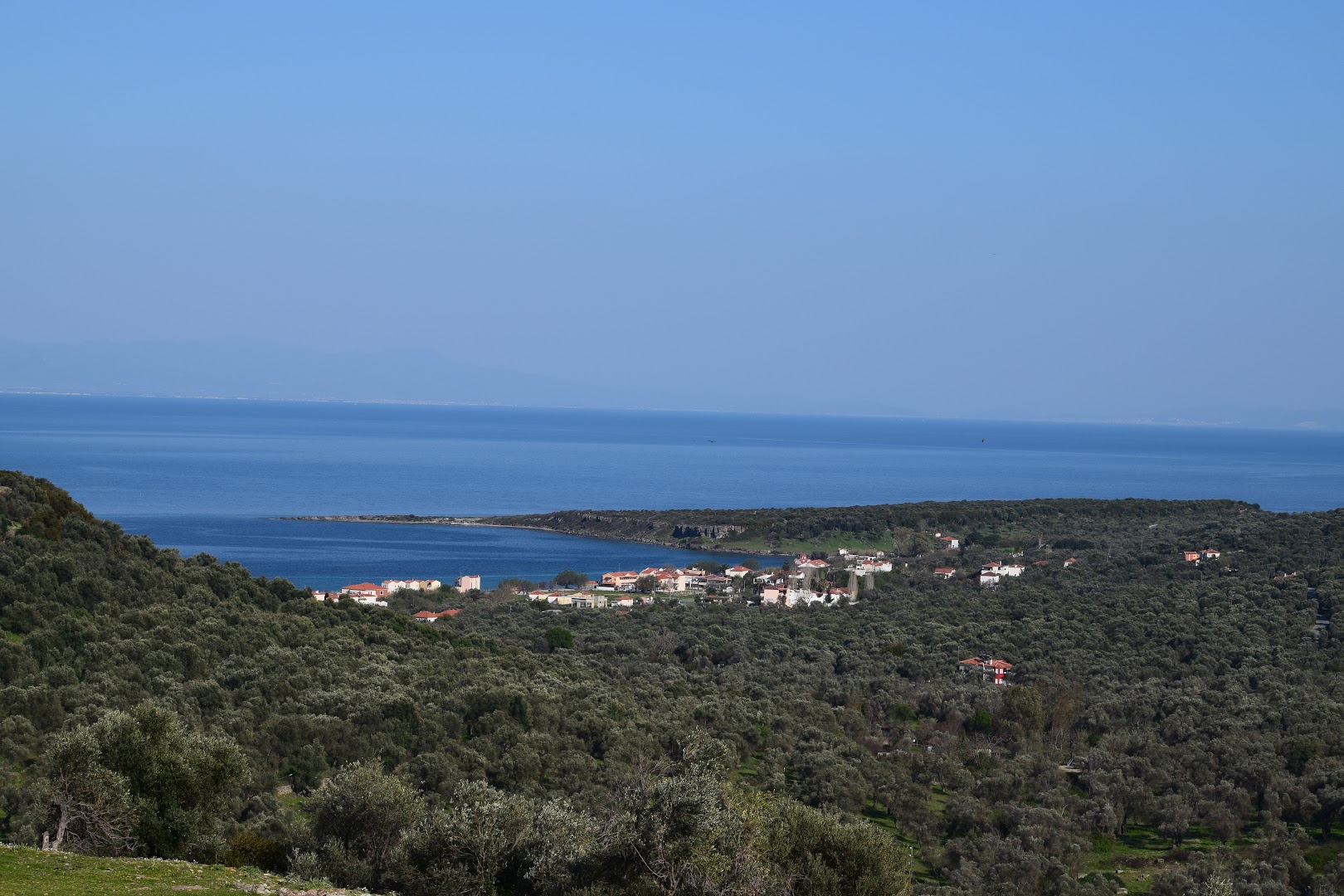 Gallery image 10