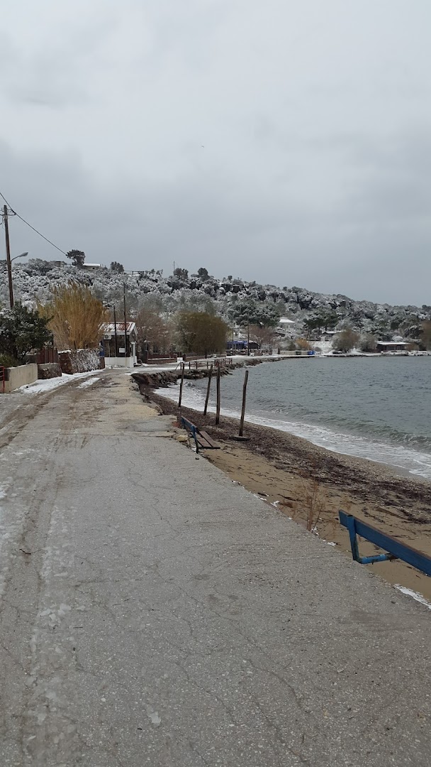 Gallery image 15