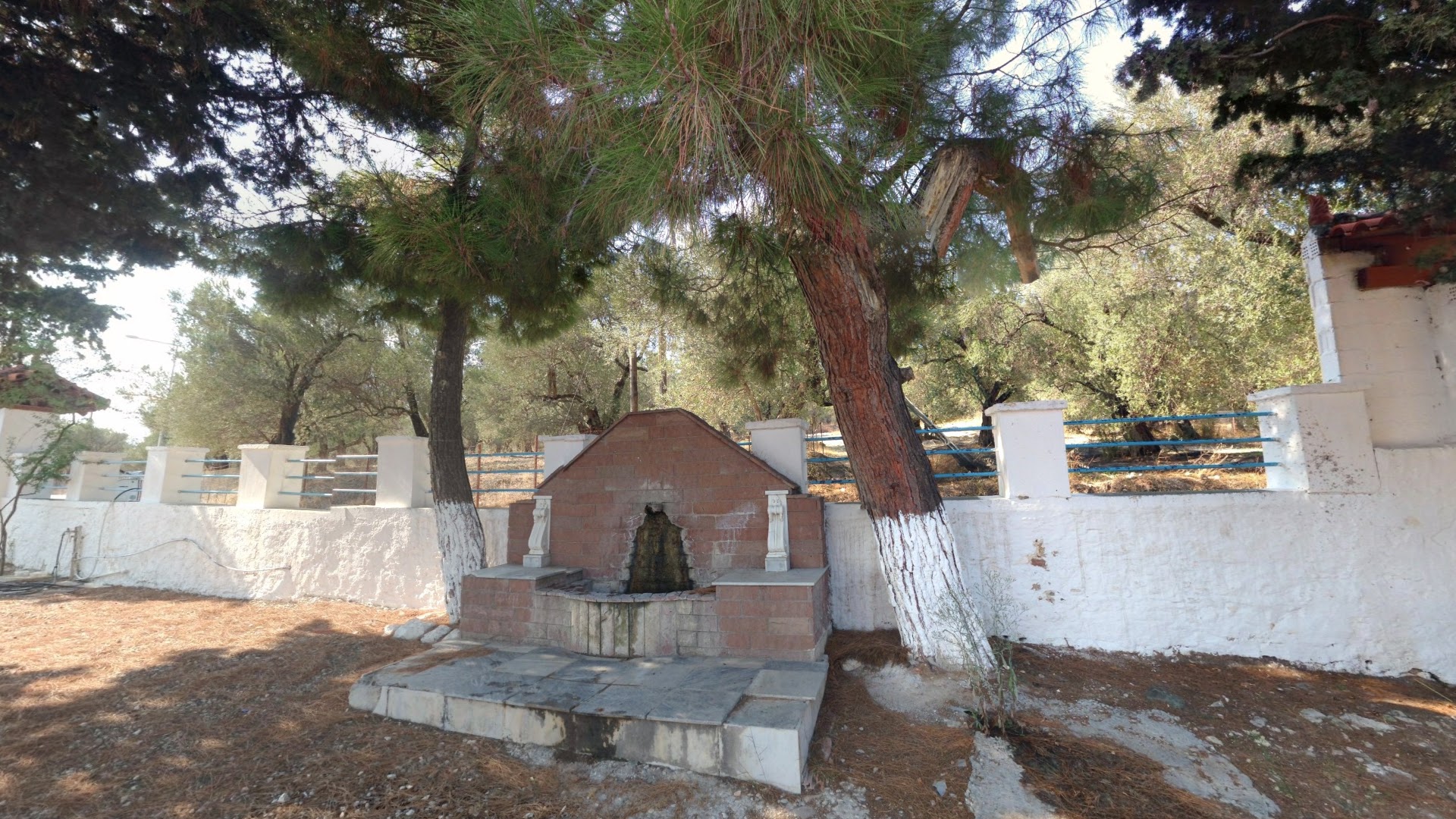 Gallery image 7