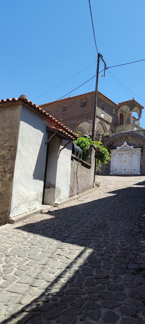 Gallery image 15