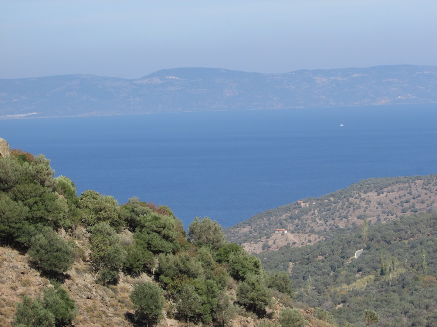 Gallery image 10
