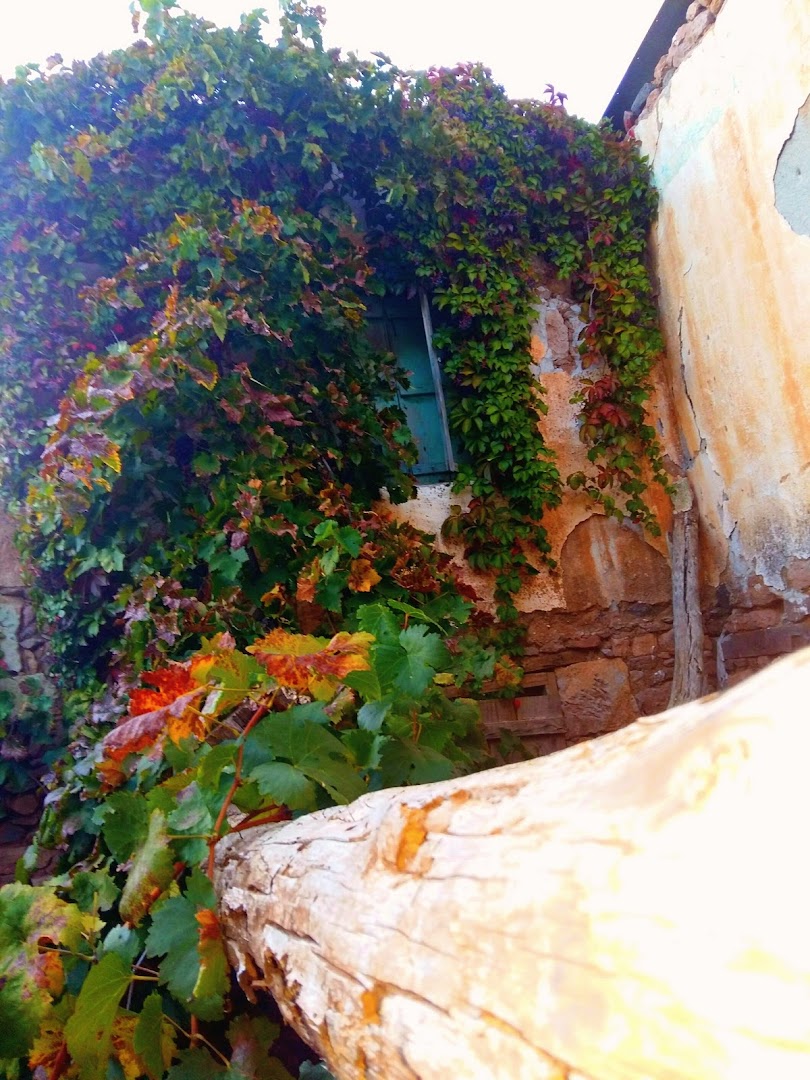 Gallery image 6