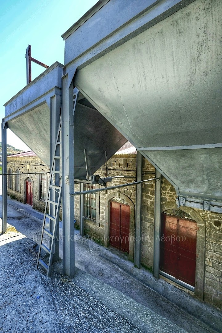 Gallery image 7