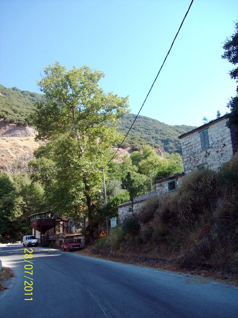Gallery image 11