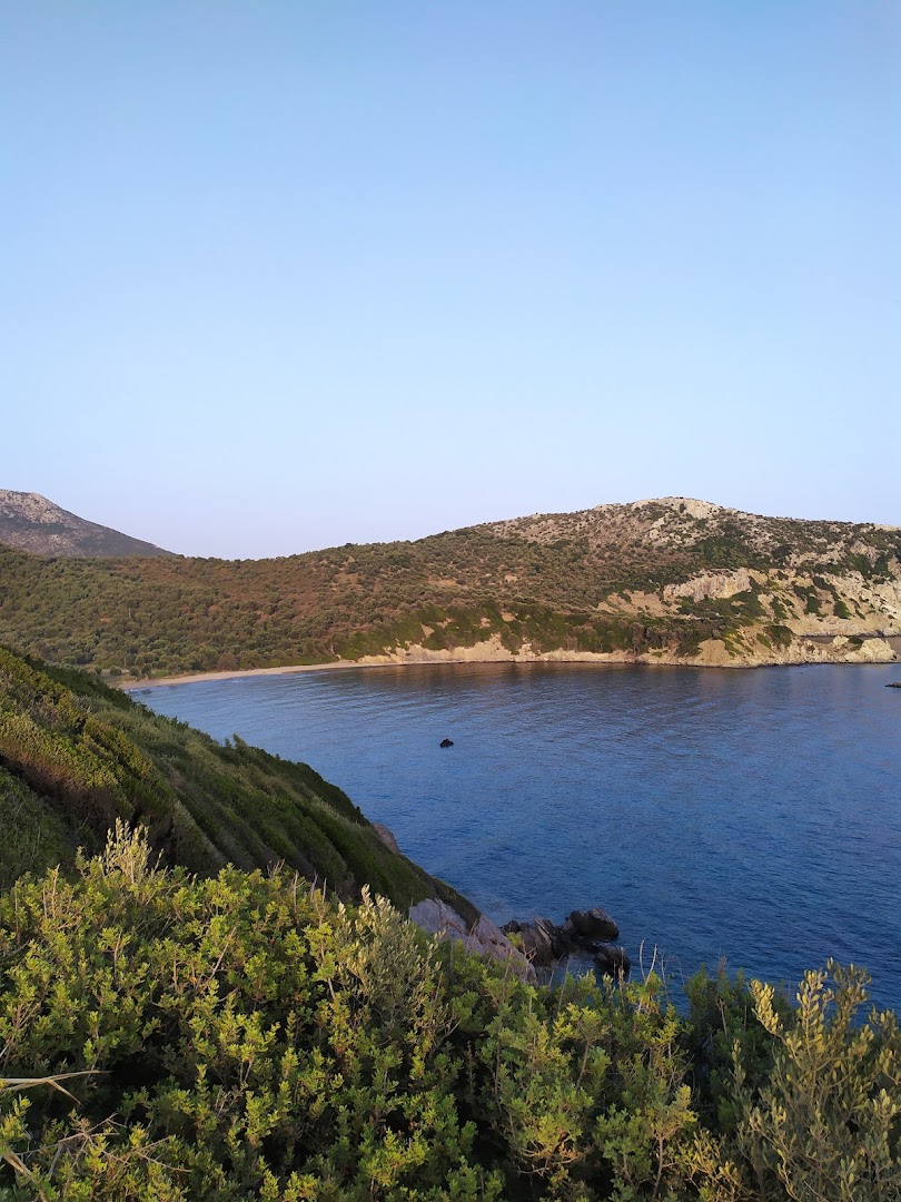 Tsafi