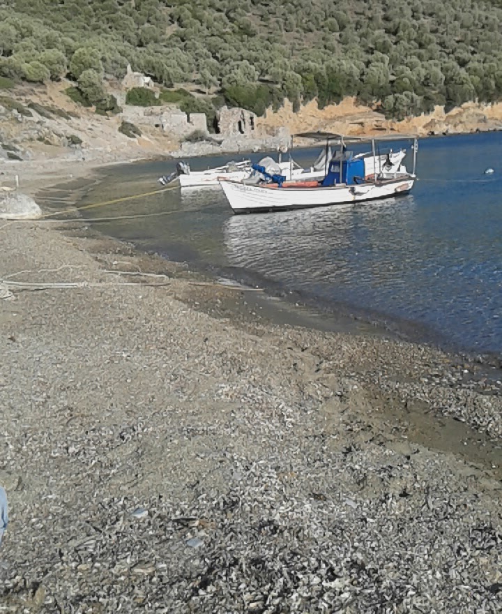 Gallery image 11