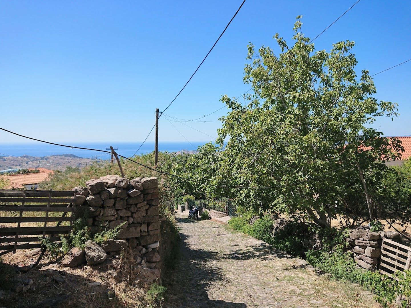Gallery image 8