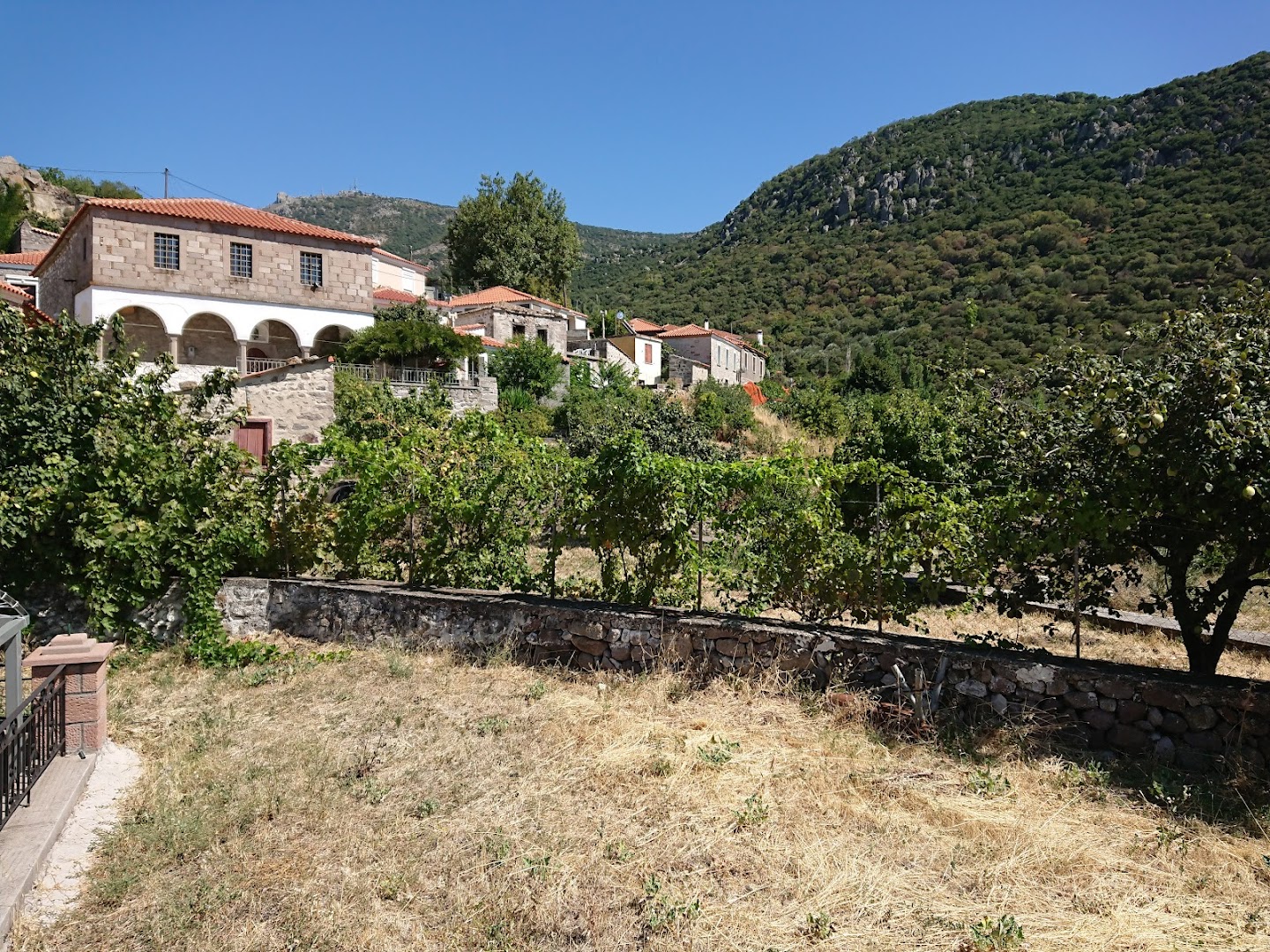 Gallery image 11