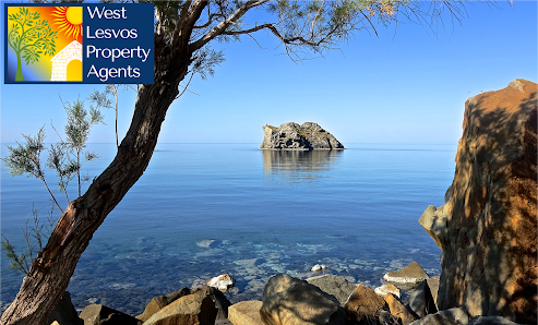 West Lesvos Property Agents